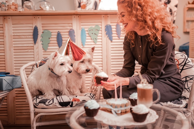 Regalando unos cupcakes. Cariñosa dueña pelirroja rizada de dos perros blancos dándoles unos cupcakes