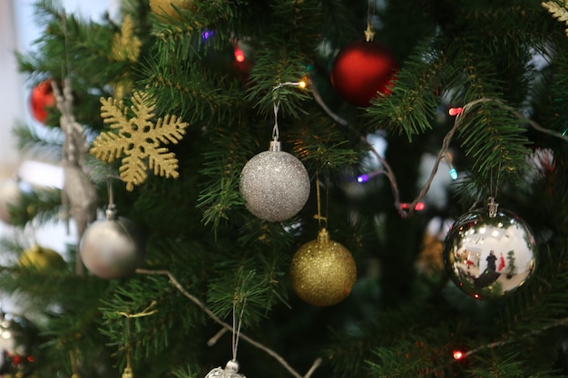 Regalo de árbol de Navidad de pino