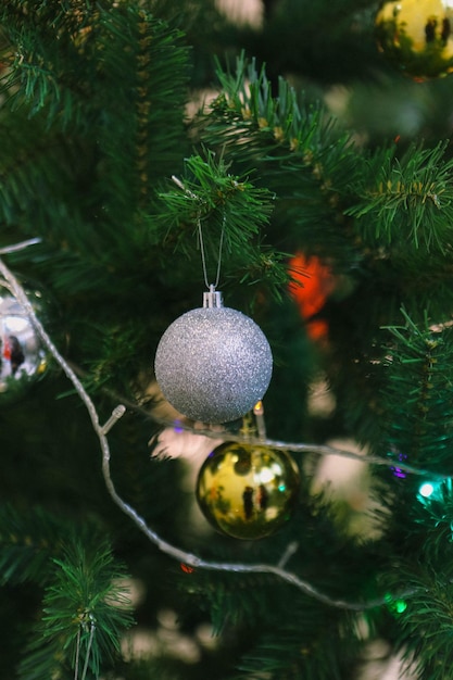 Regalo de árbol de Navidad de pino