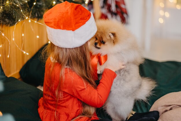 Un regalo de bienvenida para Navidad un cachorro de Pomerania. Una linda niña recibió un perrito como regalo de Navidad. La alegría del regalo. Niño feliz.