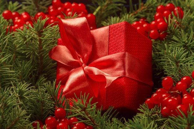 Regalo de navidad en una caja de regalo roja con una cinta de coral sumergida en las agujas de un árbol de navidad.