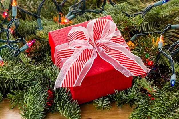 Regalo de Navidad en caja roja en ramas de hoja perenne vivas.