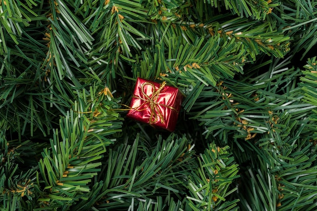 Regalo de Navidad rojo aislado en ramas de árboles de Navidad.