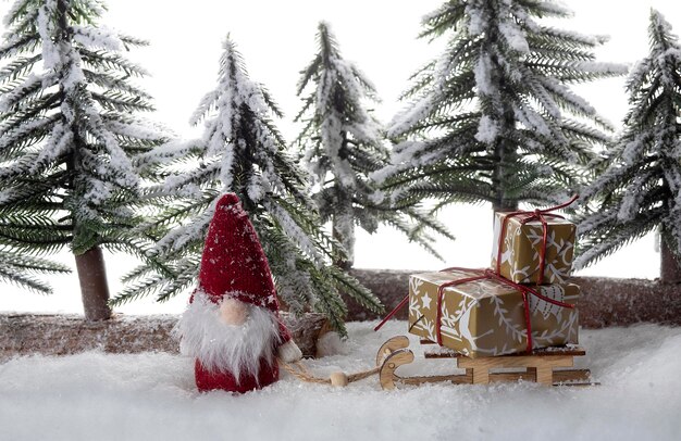 Regalo de Navidad en el trineo de madera y gnomos en el bosque nevado sobre el fondo blanco, espacio de copia