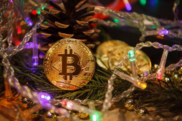 Regalos navideños de guirnaldas de bitcoin y ramas de abeto.