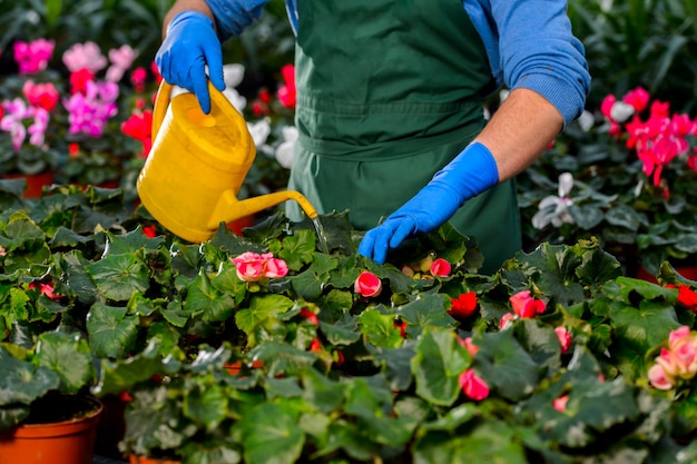 Regando flores na estufa