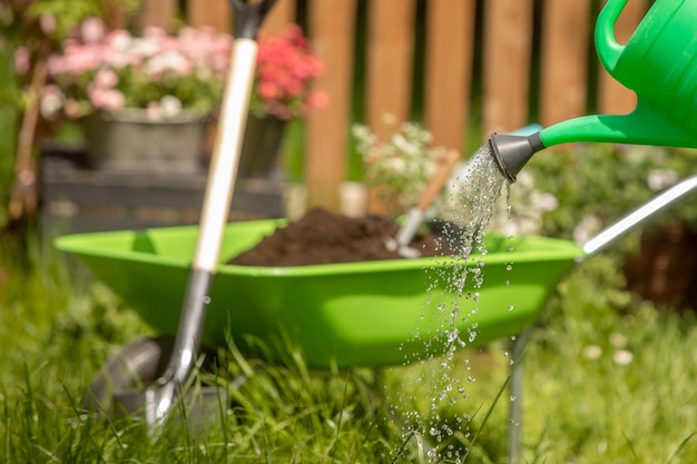 Regar com um regador Carrinho de mão cheio de solo Conceito de fundo para flores de jardinagem