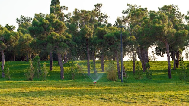 Regar gramados em um parque da cidade