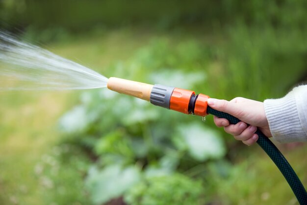 Regar el jardín con una manguera de goma.