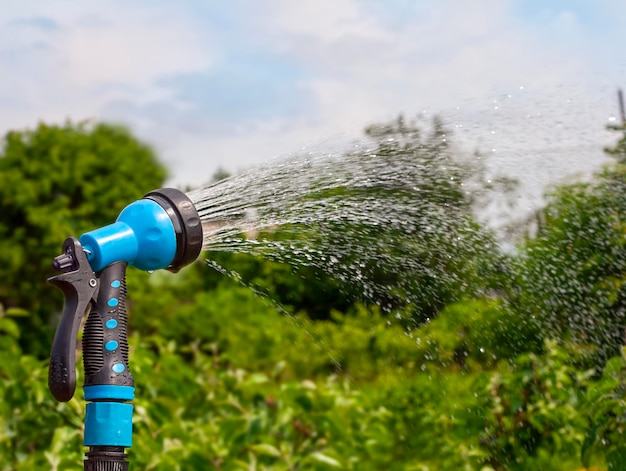 Regar o jardim com um aspersor Salpicos de água no fundo da natureza