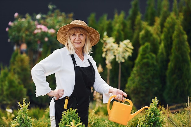 Regar plantas A mulher sênior está no jardim durante o dia