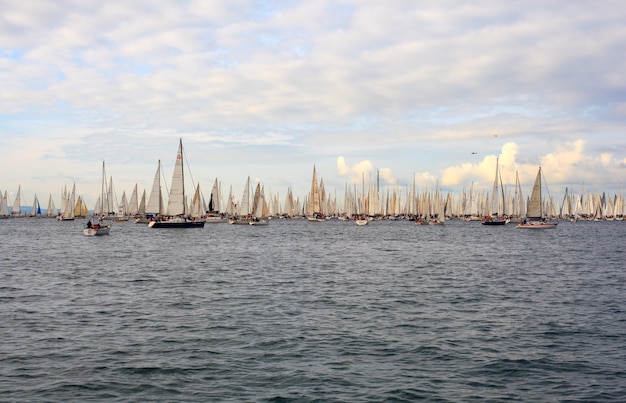 Regata de barcolana, trieste