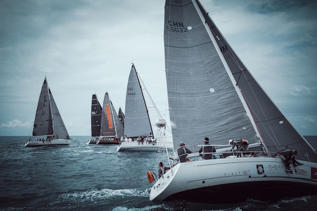 Regata de vela no mar