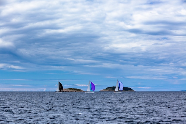 Regata de yates en el mar Adriático en tiempo ventoso. Tiro horizontal