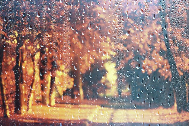 Regen Hintergrund Herbst Landschaftspark, abstrakte saisonale niemand Wetter Oktober Landschaft