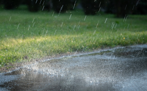 Regen im Sommerpark