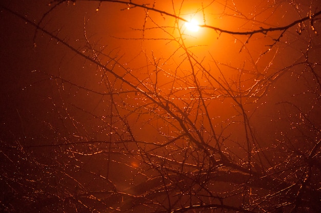 Foto regen und der nebel