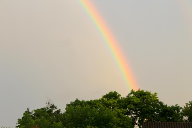 Regenbogen am Himmel