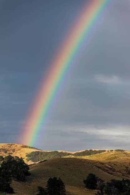 Regenbogen über der Halbinsel Otago