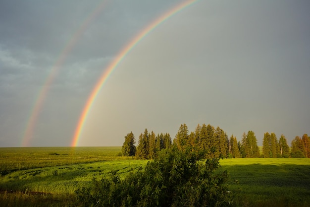 Regenbogen über grünem Feld