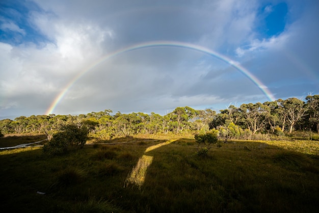 Regenbogen über Horizont in Tasmanien, Australien.