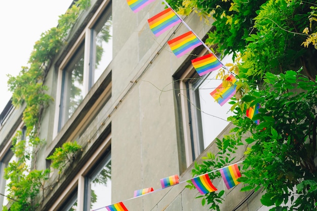 Regenbogenstolz und Gleichheitsfahnen auf Banner. Regenbogen-LGBTQ-Banner Header-Newsletter-Hintergrund