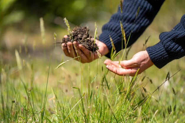 regenerativer Landwirt, der Bodenproben nimmt und das Pflanzenwachstum auf einem Bauernhof beobachtet, der nachhaltige Landwirtschaft auf einem Feld praktiziert