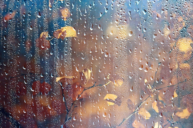 Regenfenster Herbstpark Zweige Blätter gelb / abstrakter Herbsthintergrund, Landschaft in einem regnerischen Fenster, Wetter Oktober Regen