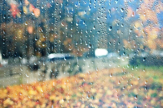 Regenfenster Herbstpark Zweige Blätter gelb / abstrakter Herbsthintergrund, Landschaft in einem regnerischen Fenster, Wetter Oktoberregen