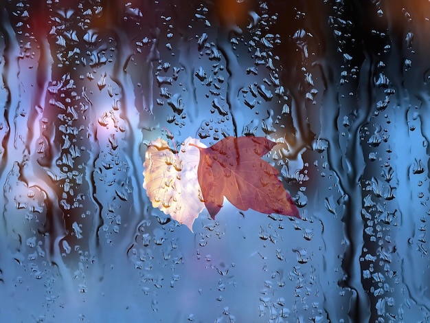 Regenfenster verschwommenes Licht mit Regentropfen und Herbstlaub saisonaler Hintergrund,