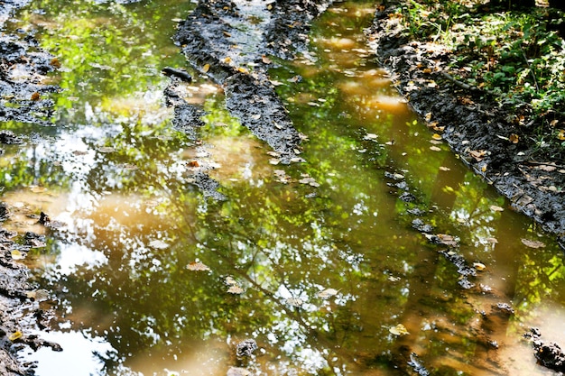 Foto regenpfütze in tiefer autofurche auf forststraße