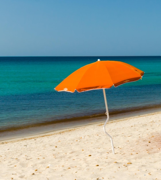 Regenschirm am Strand vor klarem Himmel