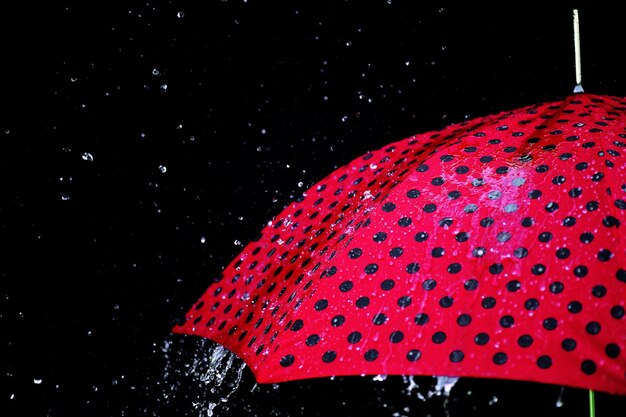 Regenschirm isoliert
