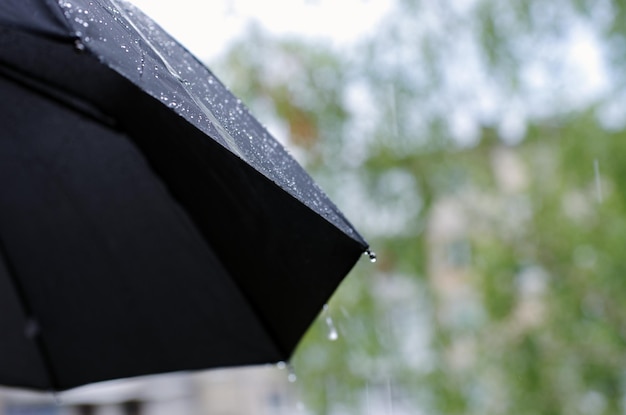 Regenschirm und Regentropfen Nahaufnahme