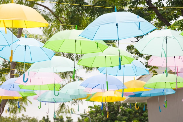 Regenschirm Vielfalt der Farben