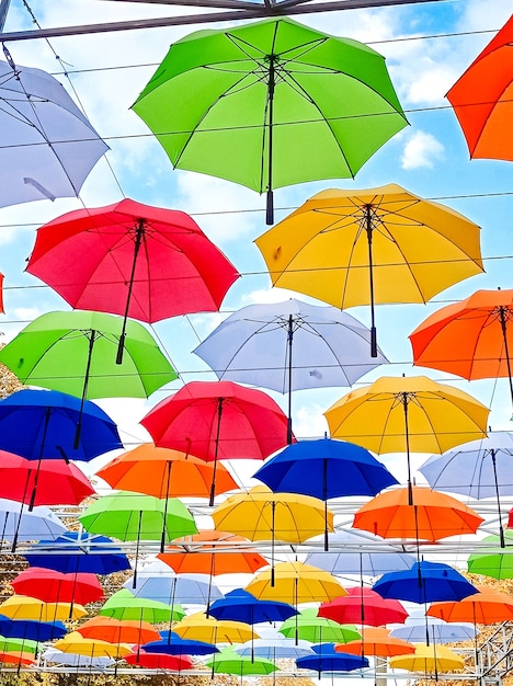 Regenschirme mit Herbstmotiven hängen über der Parkgasse. Bunte Regenschirme hängen über den Parkbäumen