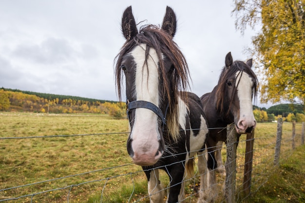 Regentag in Schottland