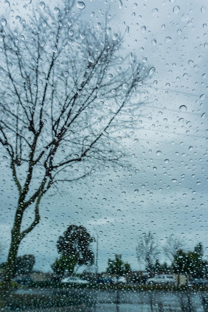 Regentropfen auf dem Fenster verwischten Bäume im Hintergrund mit geringer Schärfentiefe