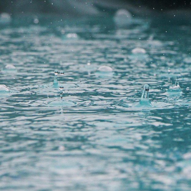 Regentropfen auf dem Wasser fallen von der Oberfläche.