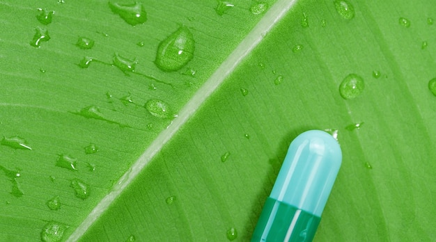 Regentropfen und Pille auf Blättern alternative Kräutermedizin Kräutervitamin auf Blatt