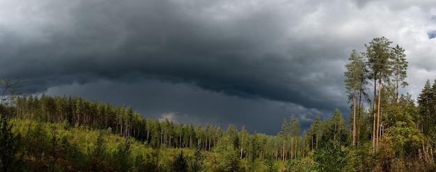 Regenwolke über dem Wald auf Finnland am Sommertag