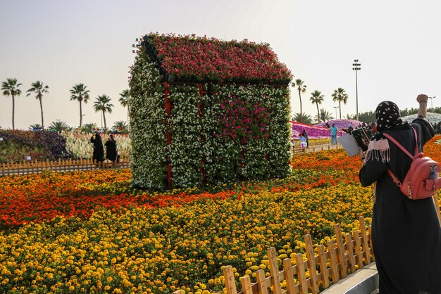 Foto região de yanbu madinah, arábia saudita 23 de março de 2019 festival de flores evento anual organizado pela comissão real