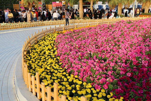 Foto região de yanbu madinah, arábia saudita 23 de março de 2019 festival de flores evento anual organizado pela comissão real