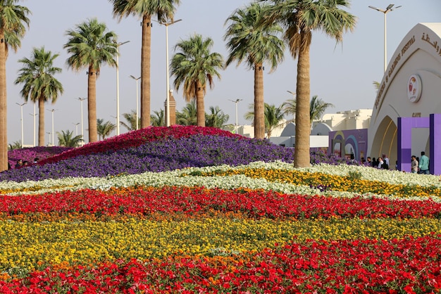 Foto região de yanbu madinah, arábia saudita 23 de março de 2019 festival de flores evento anual organizado pela comissão real