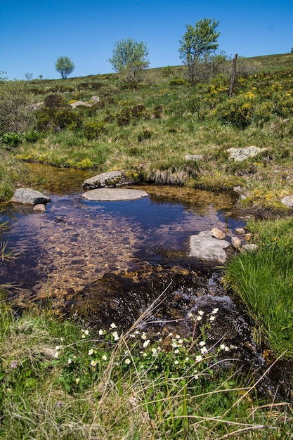 Foto región de forez