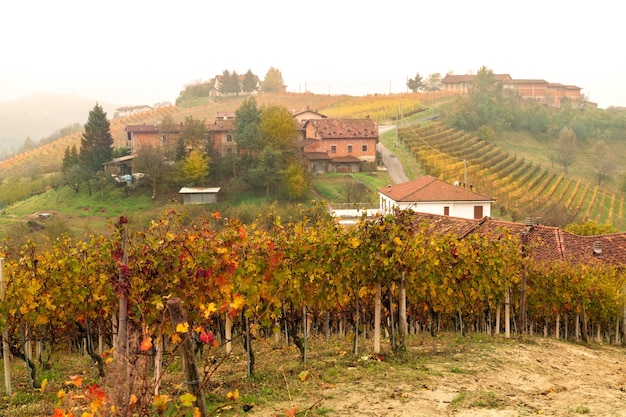 Región vinícola de Barolo Langhe Piamonte Italia