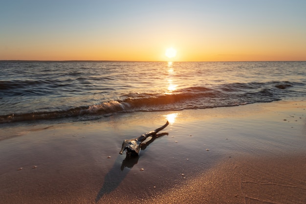 Registro tumbado en la orilla de una playa abandonada agua turbulenta amanecer por la mañana