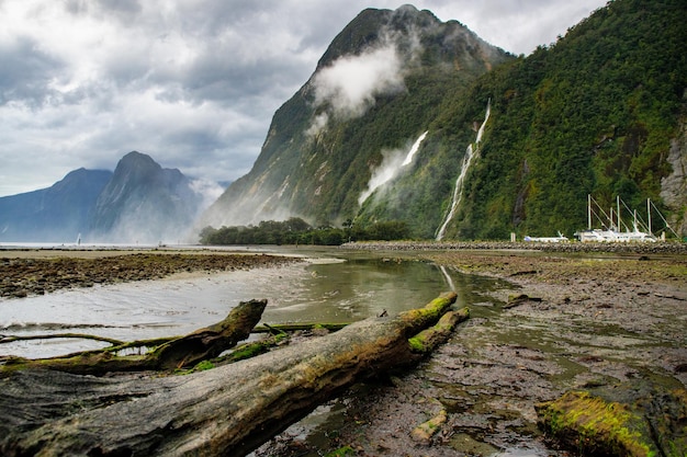 Registros de Milford Sound en la playa