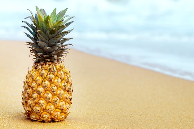 Reife Ananas auf dem goldenen Sand am Meer