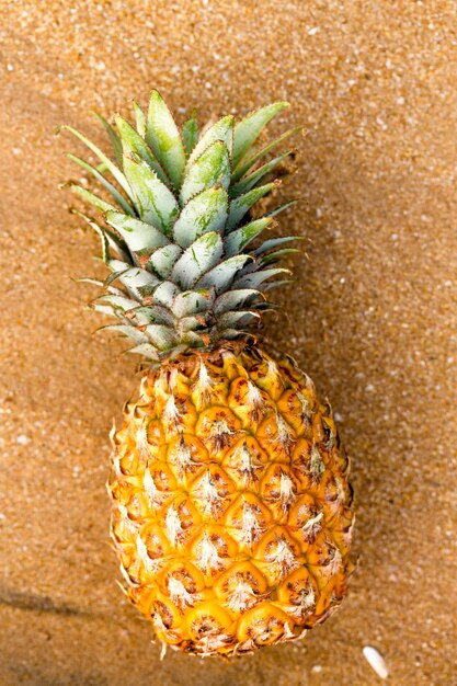 Reife Ananas auf dem goldenen Sand am Meer